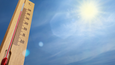 Os eventos climáticos extremos estão mudando o mundo, e Pablo Said alerta sobre a urgência da adaptação.