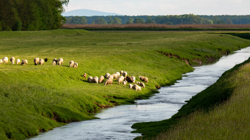 Dados e previsibilidade estão no centro da nova proteção rural — destaca Aldo Vendramin.