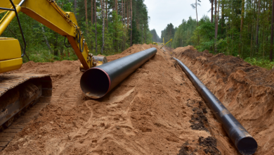 Paulo Roberto Gomes Fernandes