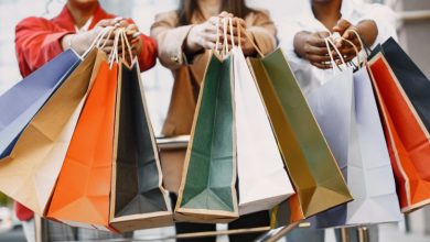 A Evolução dos Centros de Compras no Brasil e a Nova Relação de Consumo no Ambiente Digital