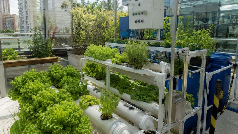 Inovação Urbana: Como a Horta Automatizada em Shopping Centers Promove a Educação Ambiental